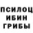 Псилоцибиновые грибы прущие грибы Faariya Durrani