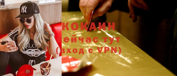 крисы Ельня