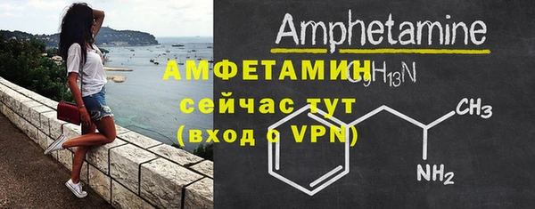 крисы Ельня