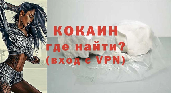 крисы Ельня