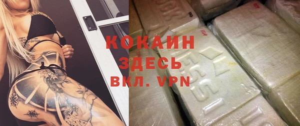 крисы Ельня